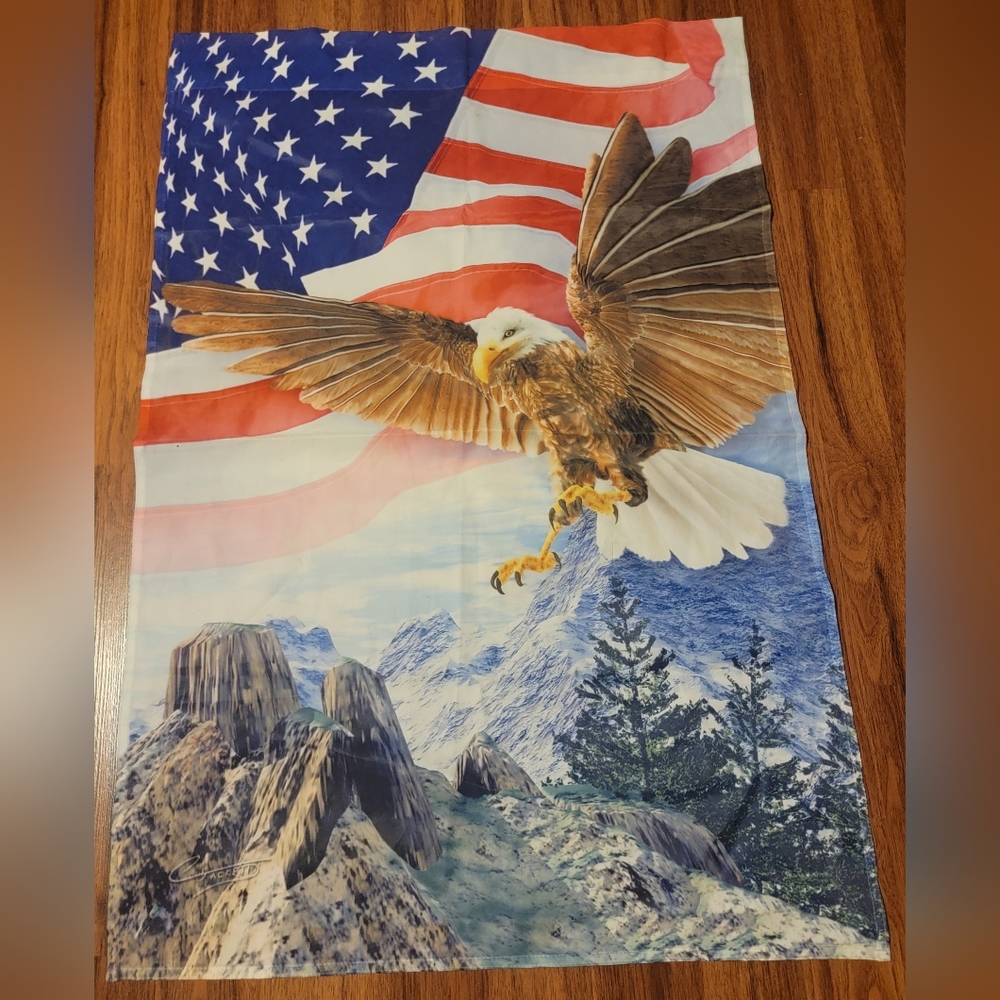 American Flag and Eagle House Flag